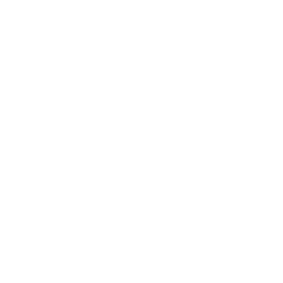 Python Web Development