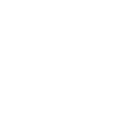 PHP Web Developer